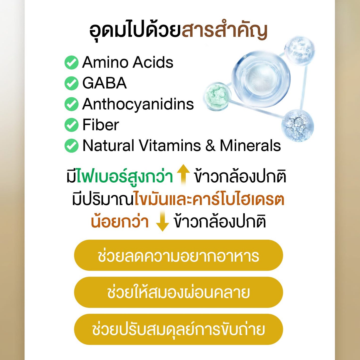 WINK WHITE - XS PROTIEN