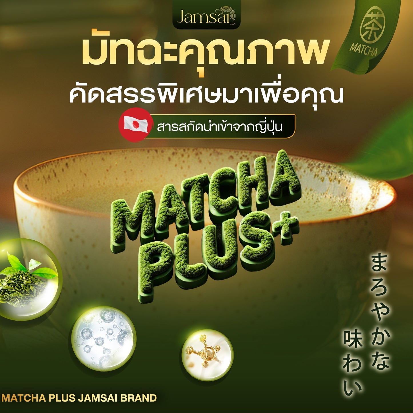 JAMSAI - MATCHA PLUS