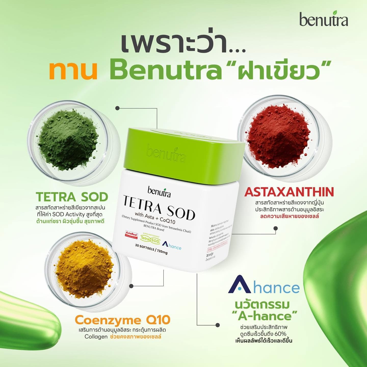 BENUTRA - TERA SOD