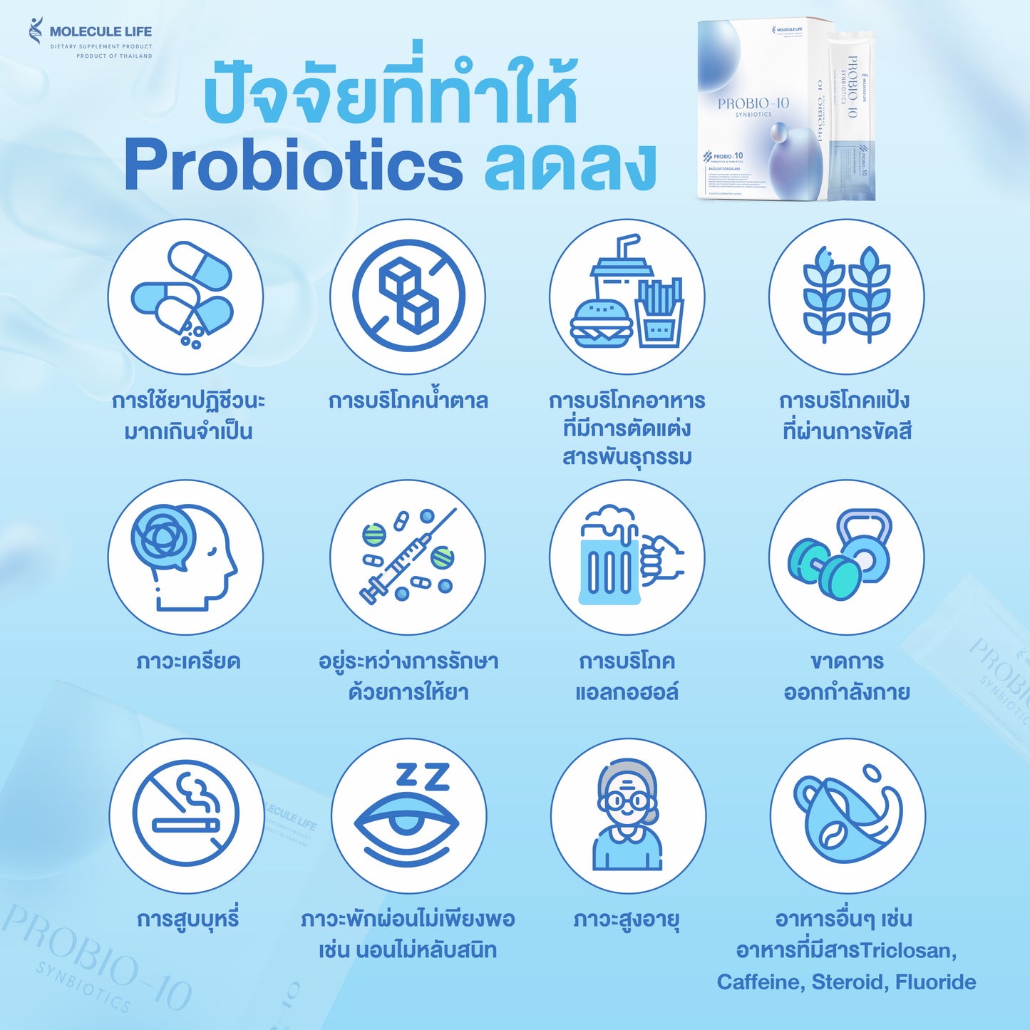 MOLECULE LIFE - PROBIO 10 SYNBIOTICS
