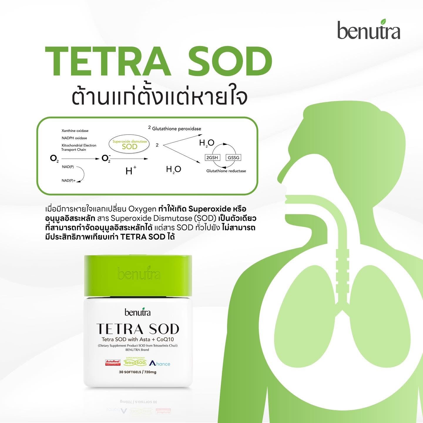 BENUTRA - TERA SOD