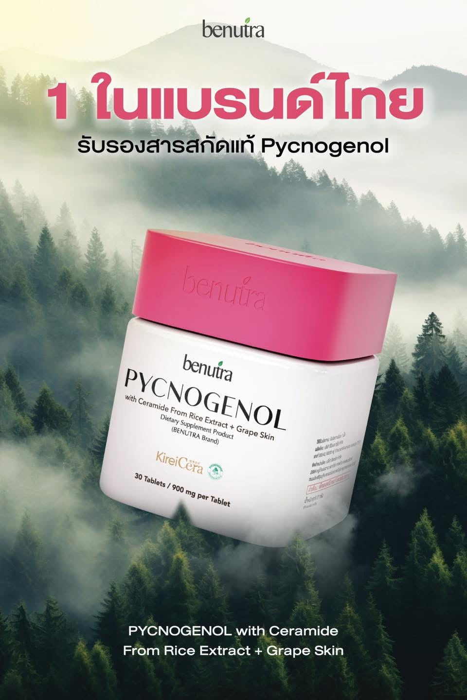 BENUTRA - PYCNOGENOL