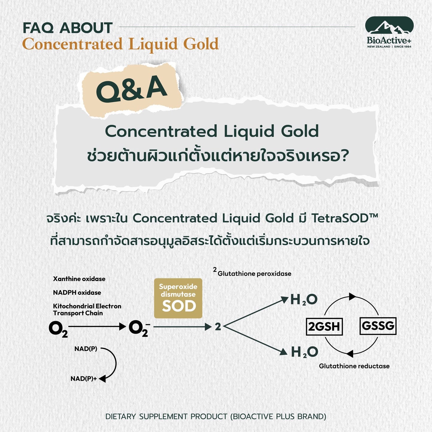 BIOACTIVE+ - CONCENTRATED LIQUID GOLD