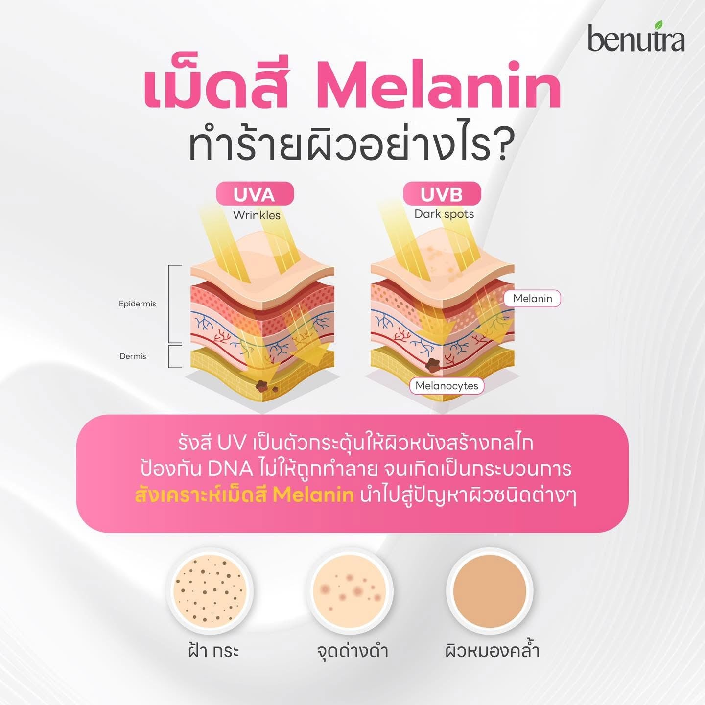 BENUTRA - PYCNOGENOL