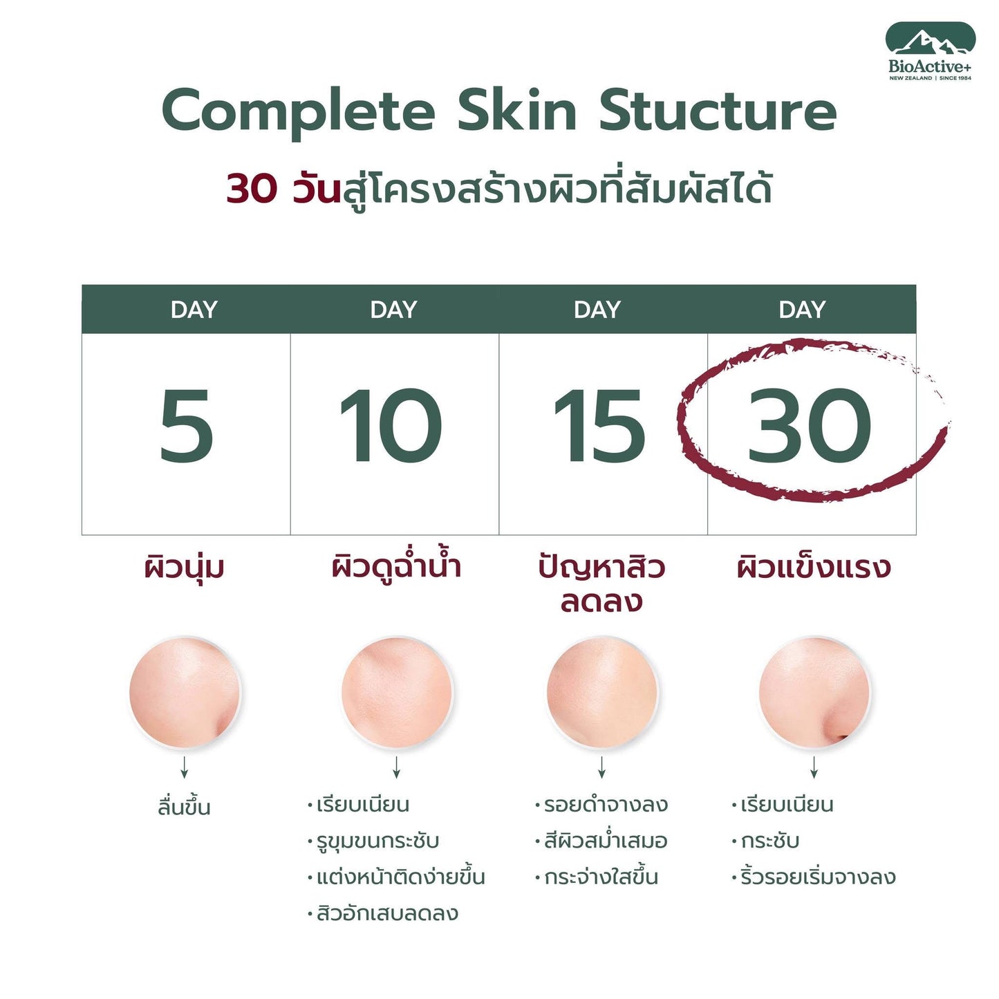 BIOACTIVE+ - CONCENTRATED LIQUID COLLAGEN