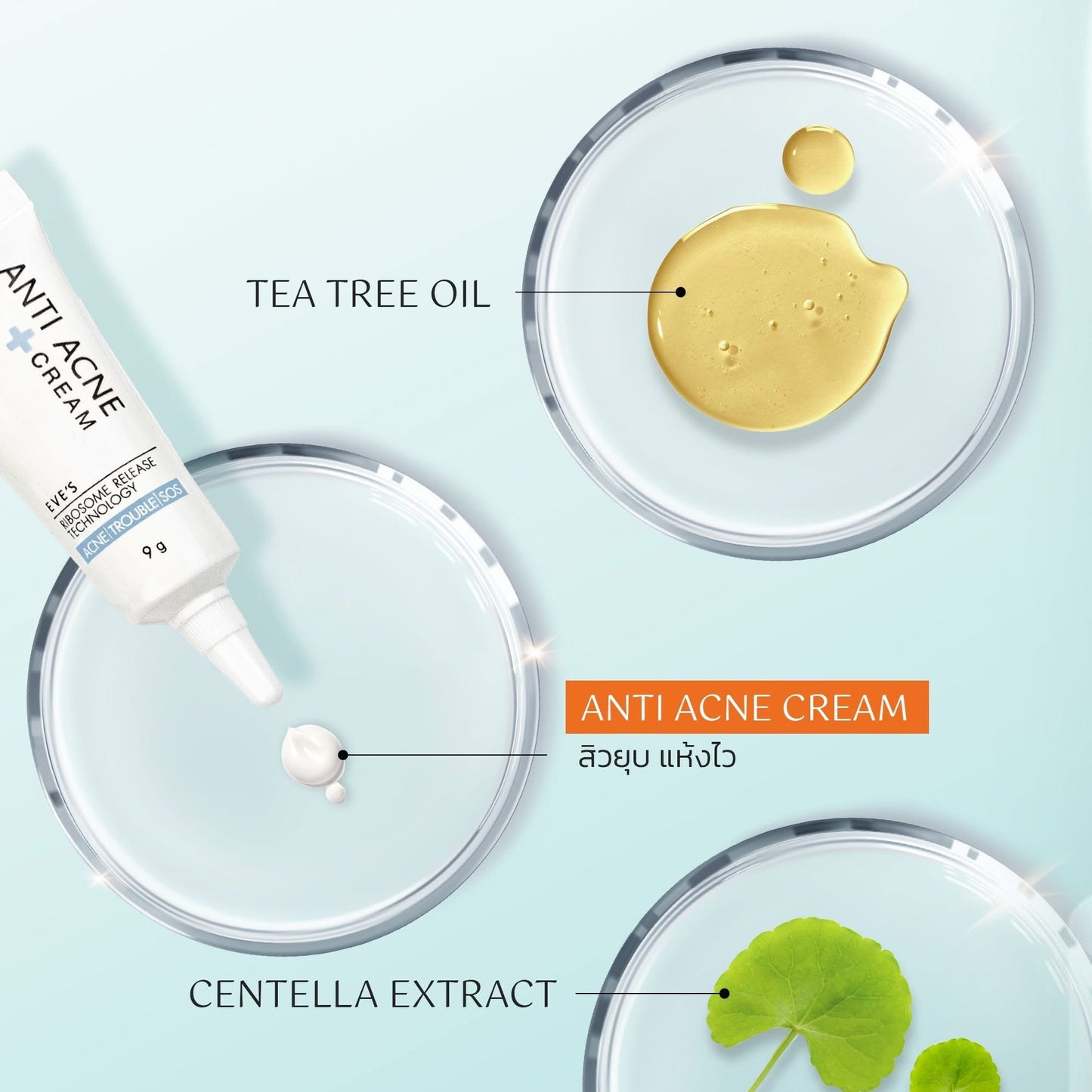EVE’S- ANTI ACNE CREAM