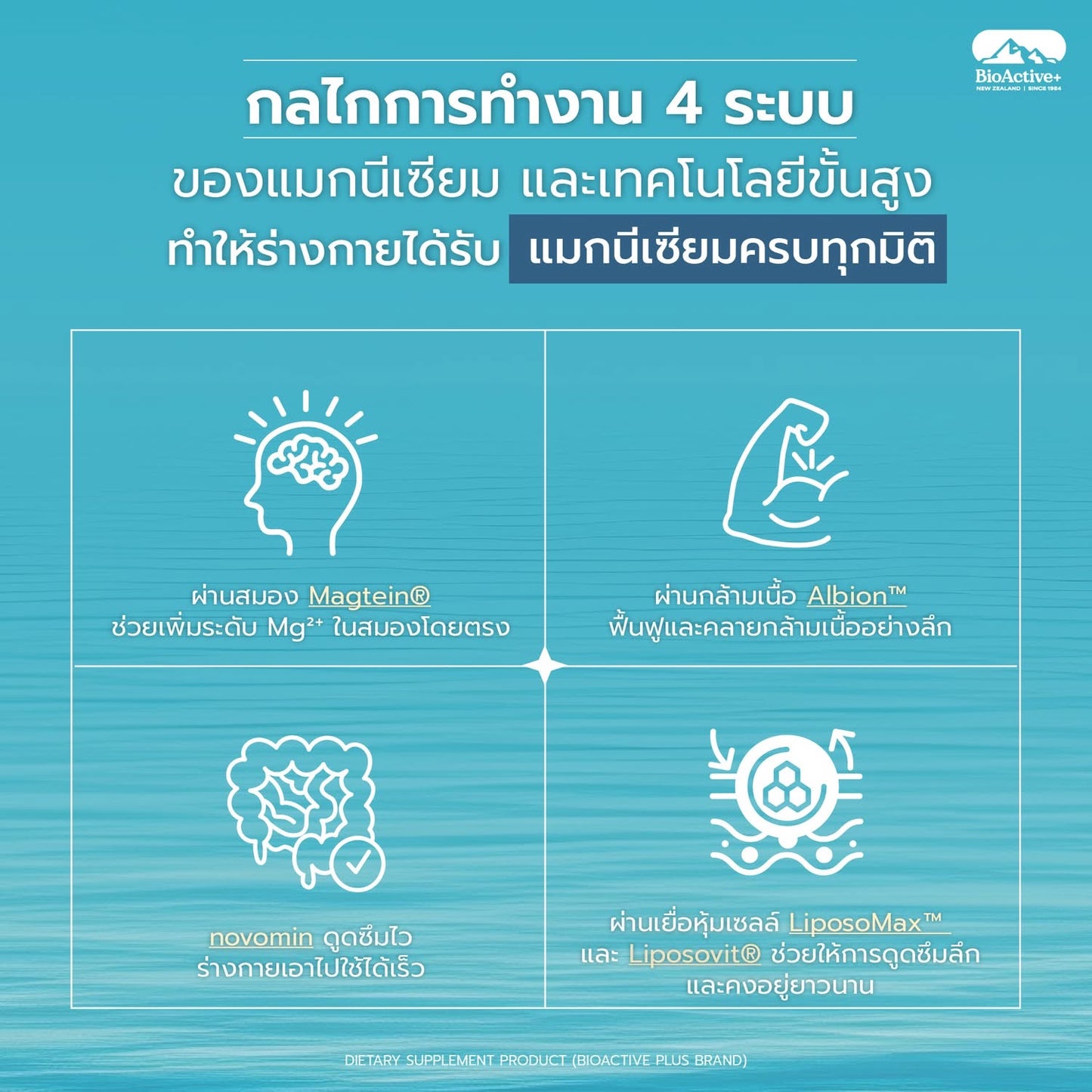 BIOACTIVE - CONCENTRATED LIQUID MAGTEIN