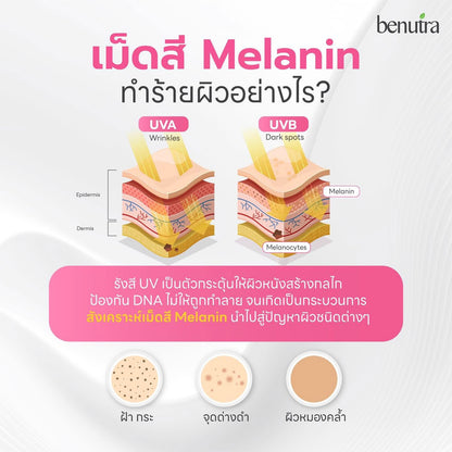 BENUTRA - PYCNOGENOL