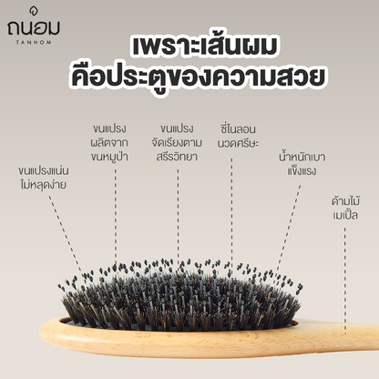 TANHOM - BRISTLE DETANGLING BRUSH