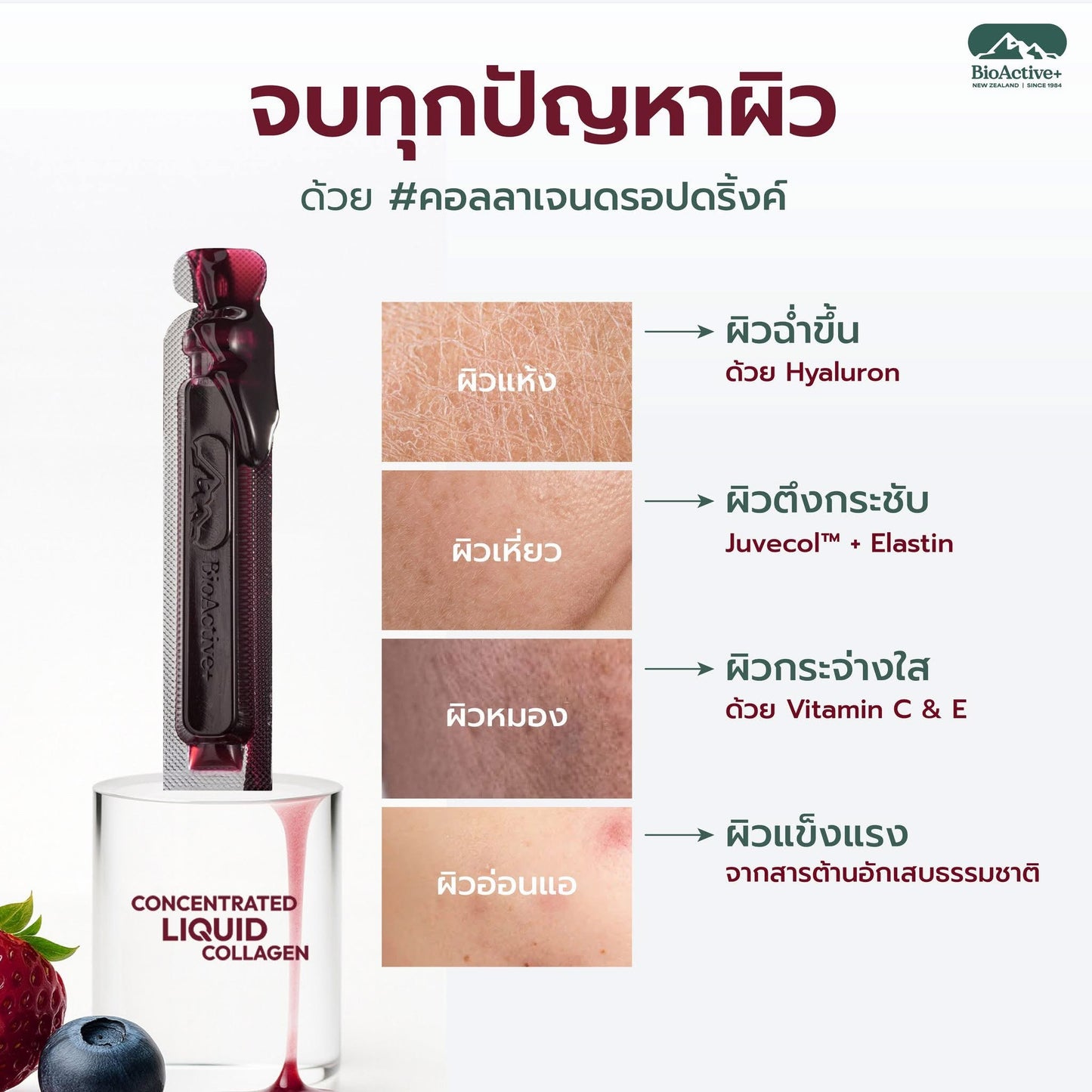 BIOACTIVE+ - CONCENTRATED LIQUID COLLAGEN