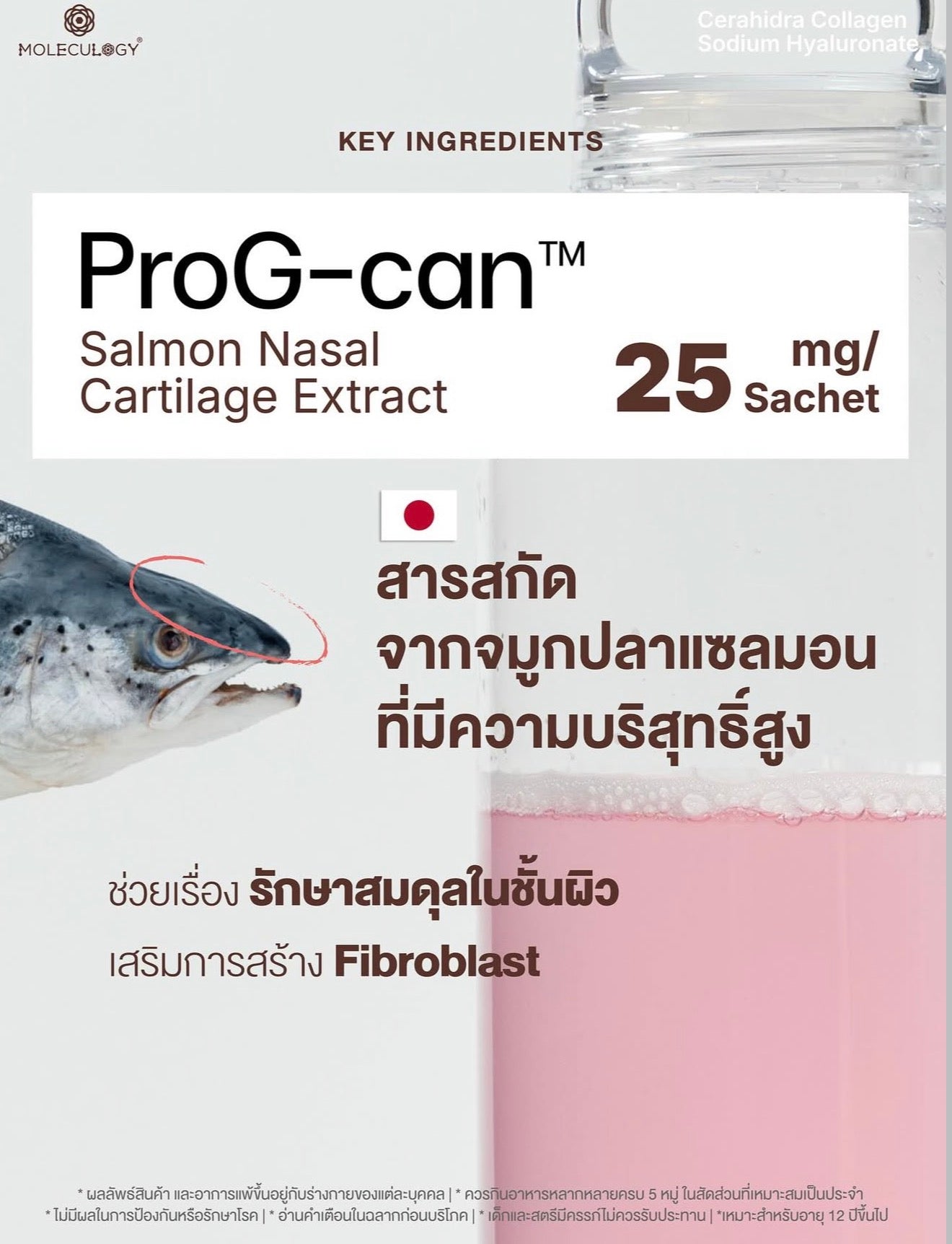 MOLECULOGY- CERAHIDRA COLLAGEN SODIUM HYALURONATE