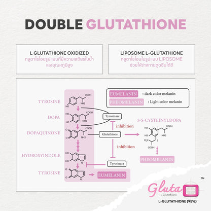 BIOACTIVE+ - CONCENTRATED LIQUID GLUTA